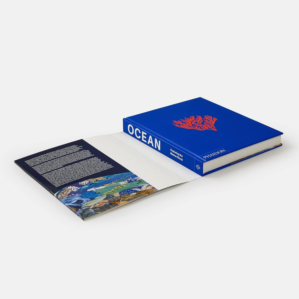 Ocean: Exploring The Marine World Book