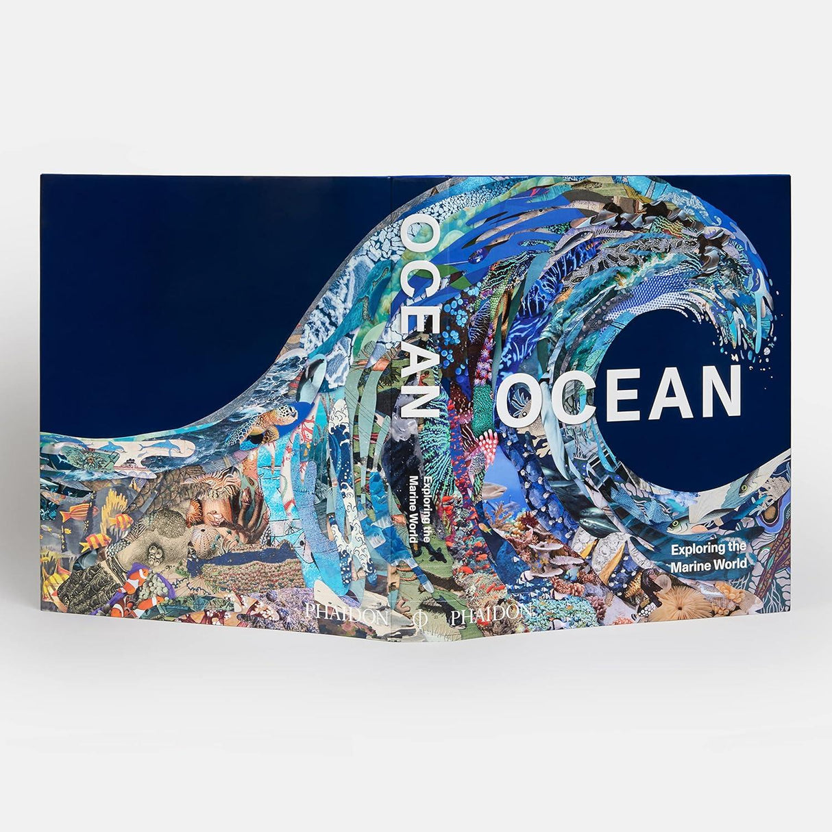 Ocean: Exploring The Marine World Book