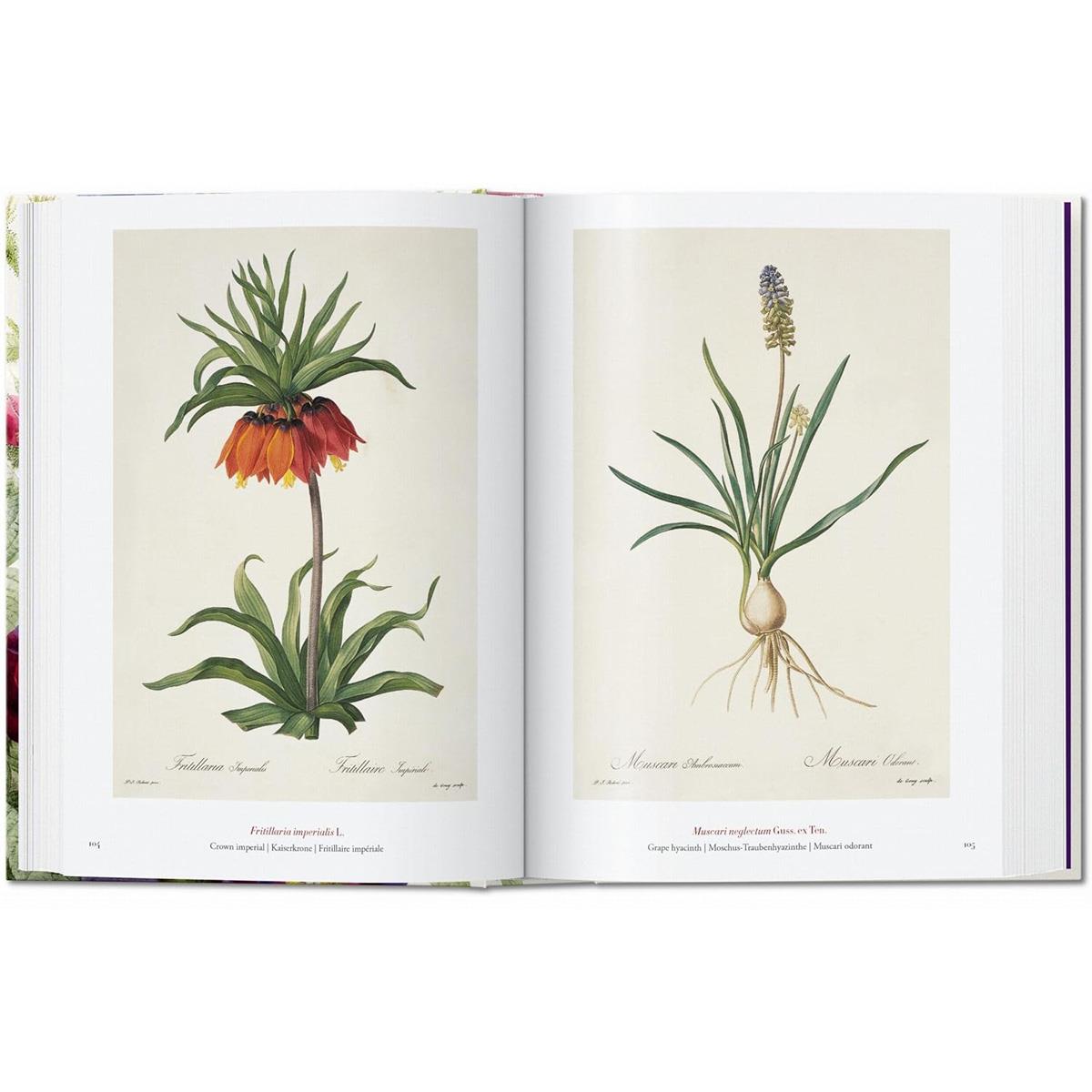 Redouté. The Book of Flowers. 40th Anniversary Edition