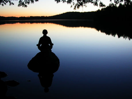 Zen Meditasyonu Nedir?