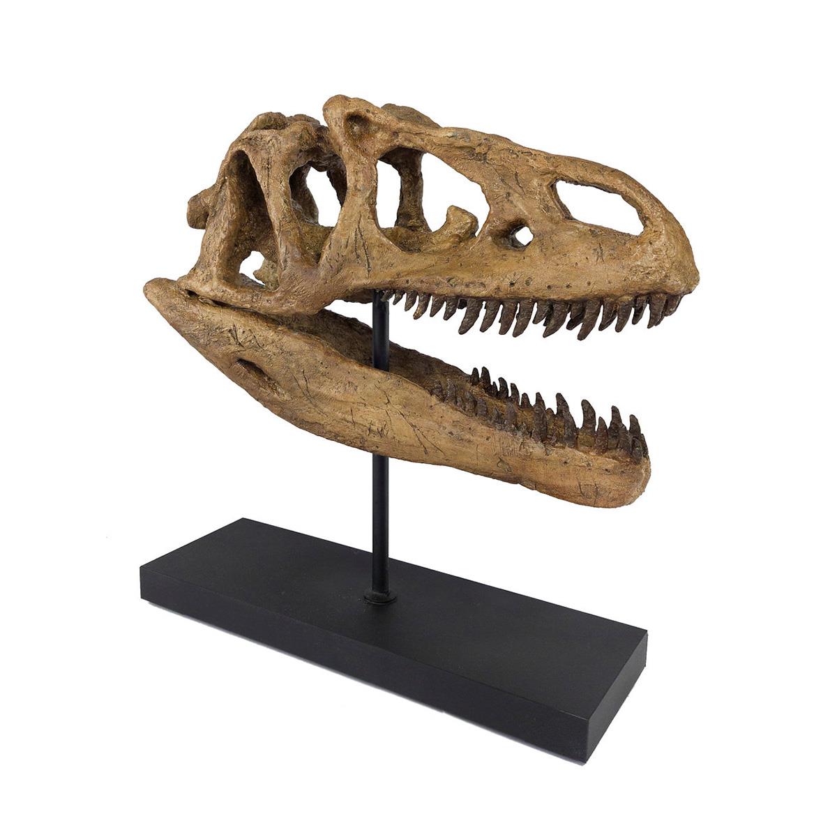 Allosaurus Seramik Heykel