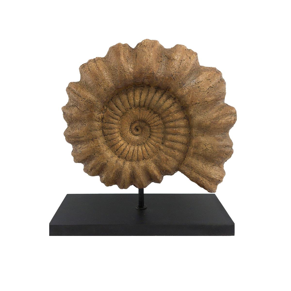 Ammonite Seramik Heykel