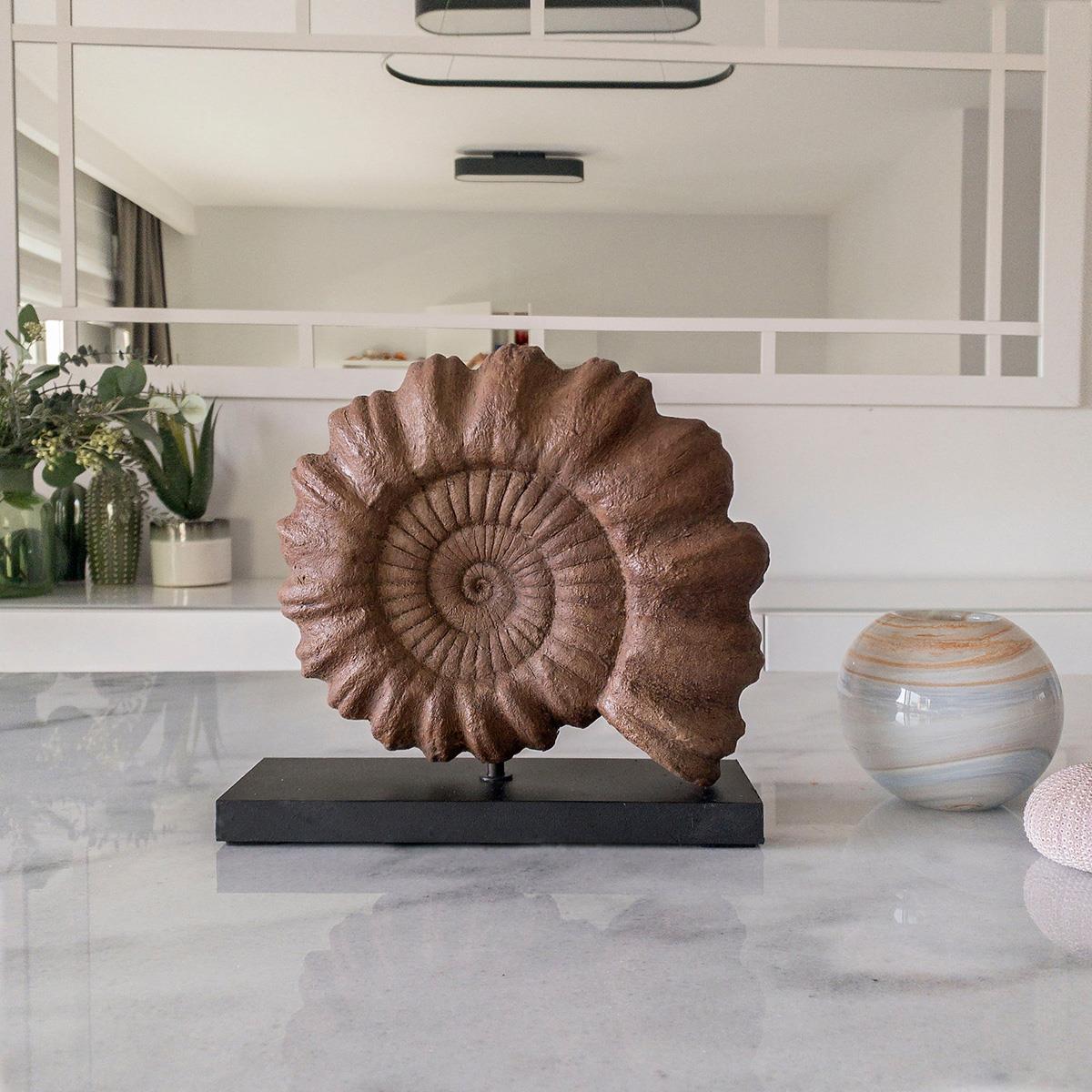 Ammonite Seramik Heykel