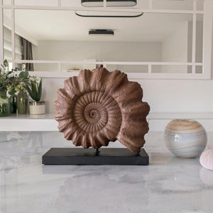 Ammonite Seramik Heykel