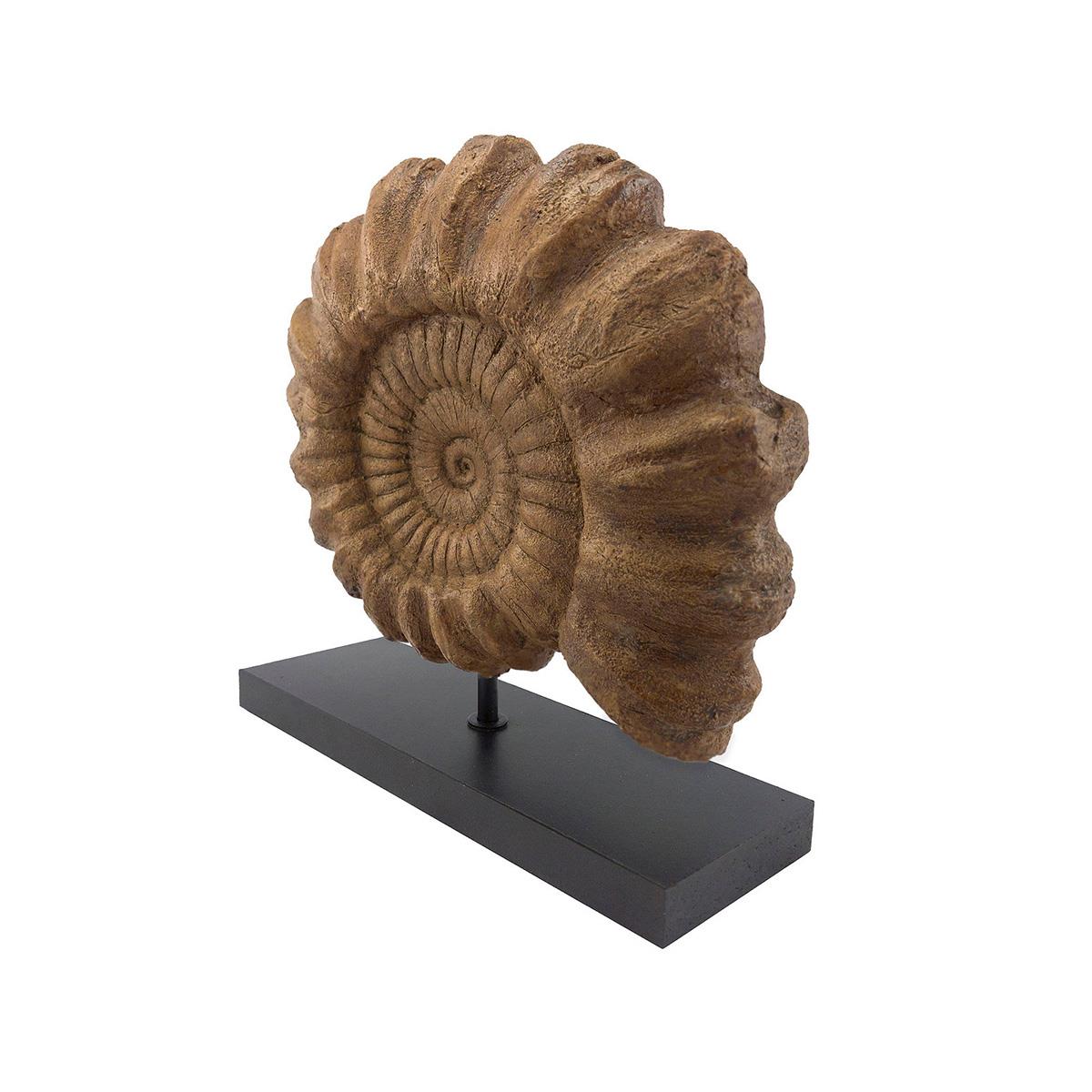 Ammonite Seramik Heykel