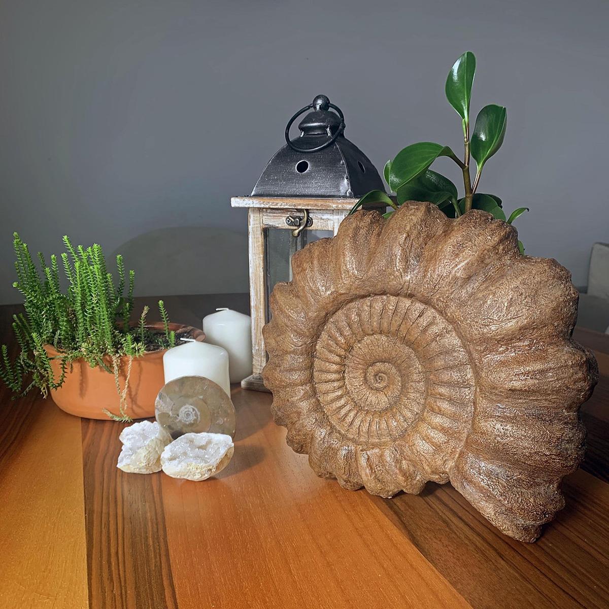 Ammonite Seramik Heykel