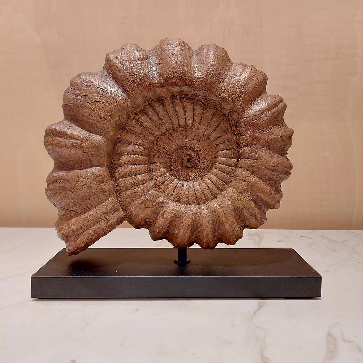 Ammonite Seramik Heykel