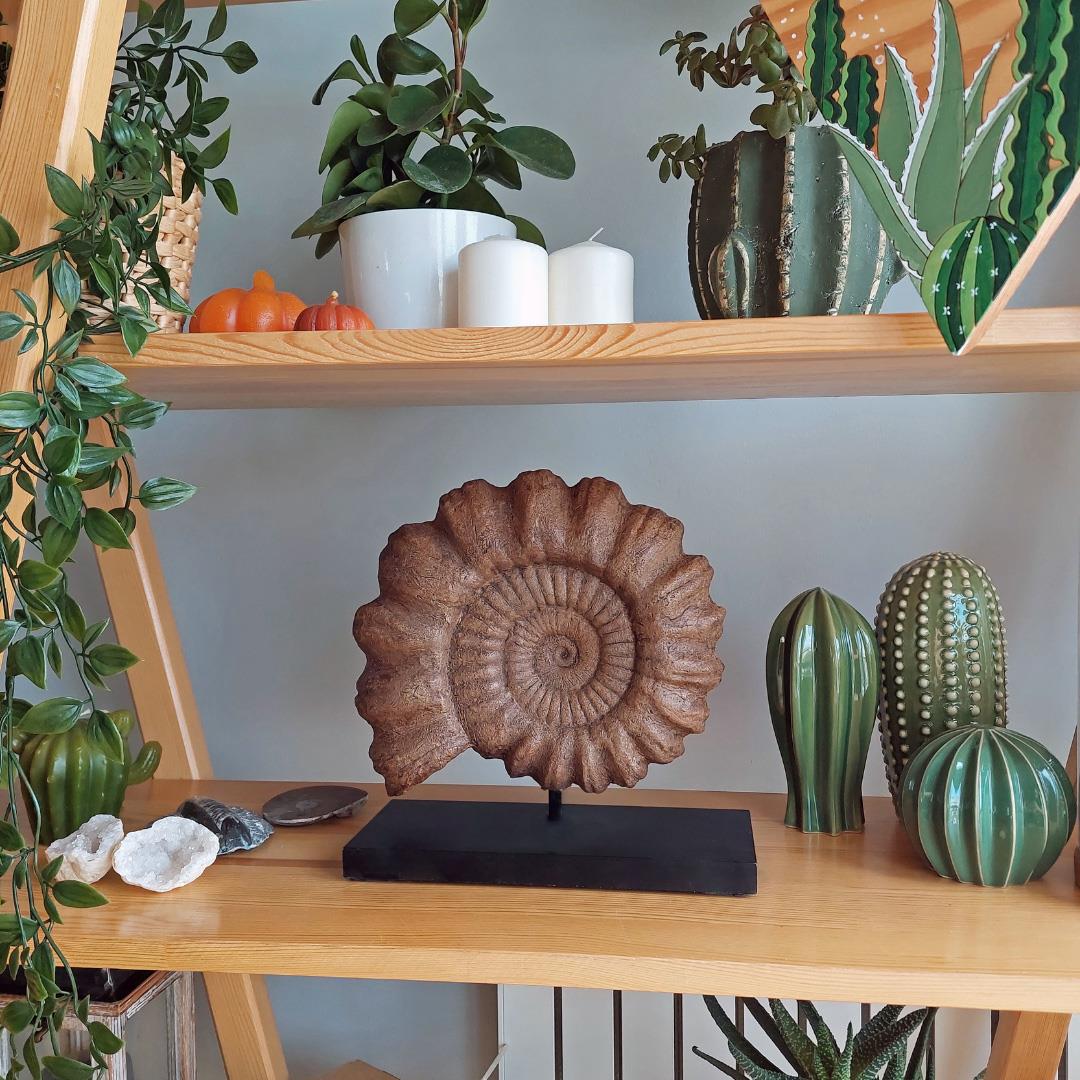 Ammonite Seramik Heykel
