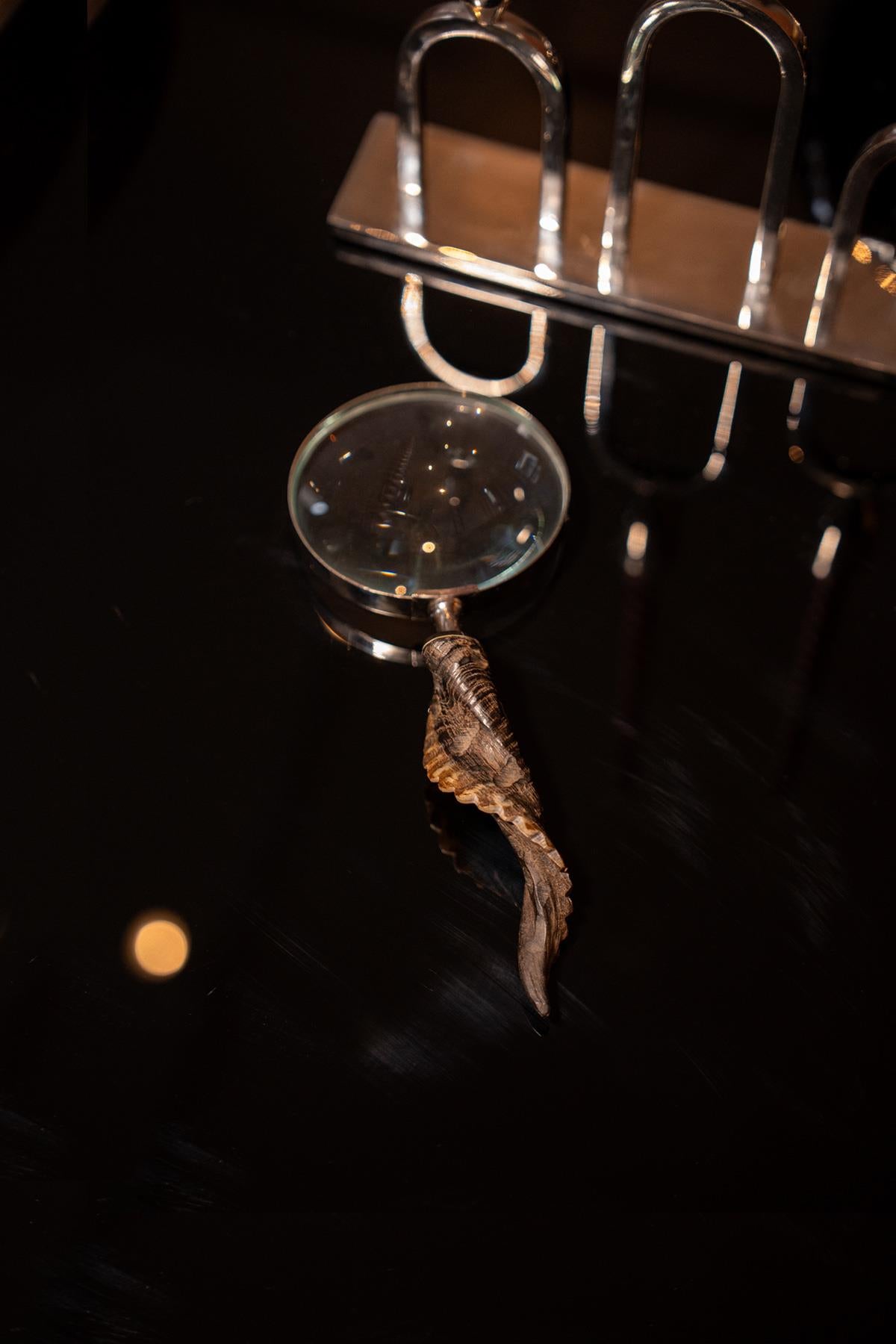 Boynuz Saplı Büyüteç Kahverengi