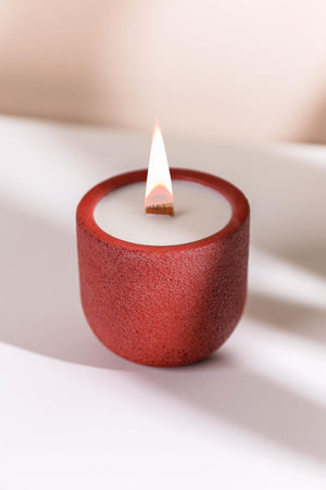 CYLE %100 Soya Wax Organik Beton Mum & Saksı