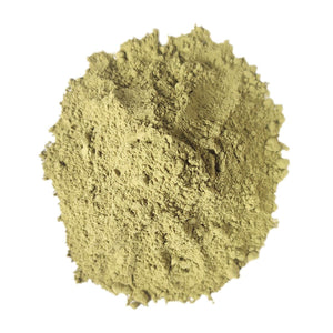 Daily Wellness Matcha Set – 5’li Özel Karışım