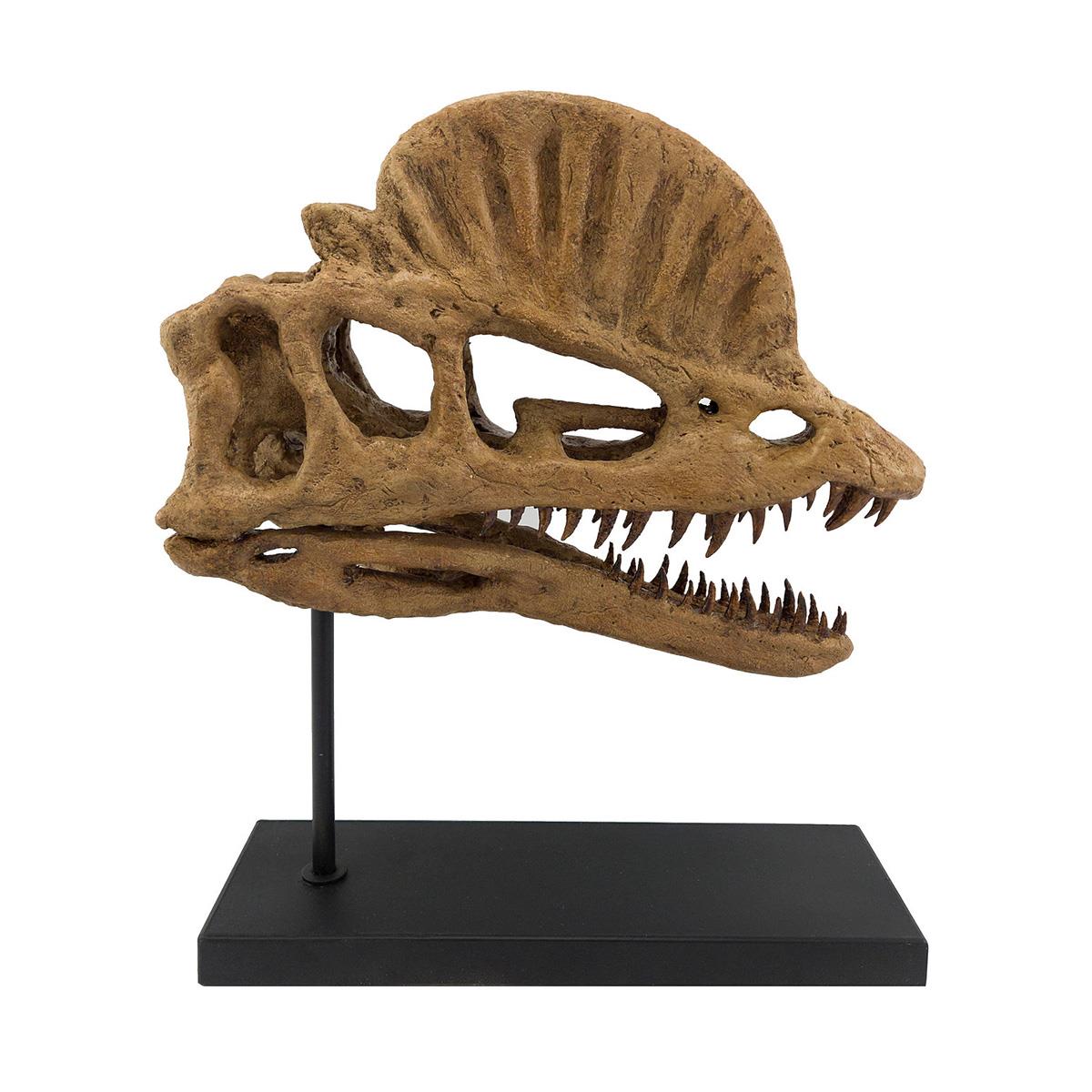 Dilophosaurus Seramik Heykel