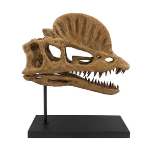 Dilophosaurus Seramik Heykel