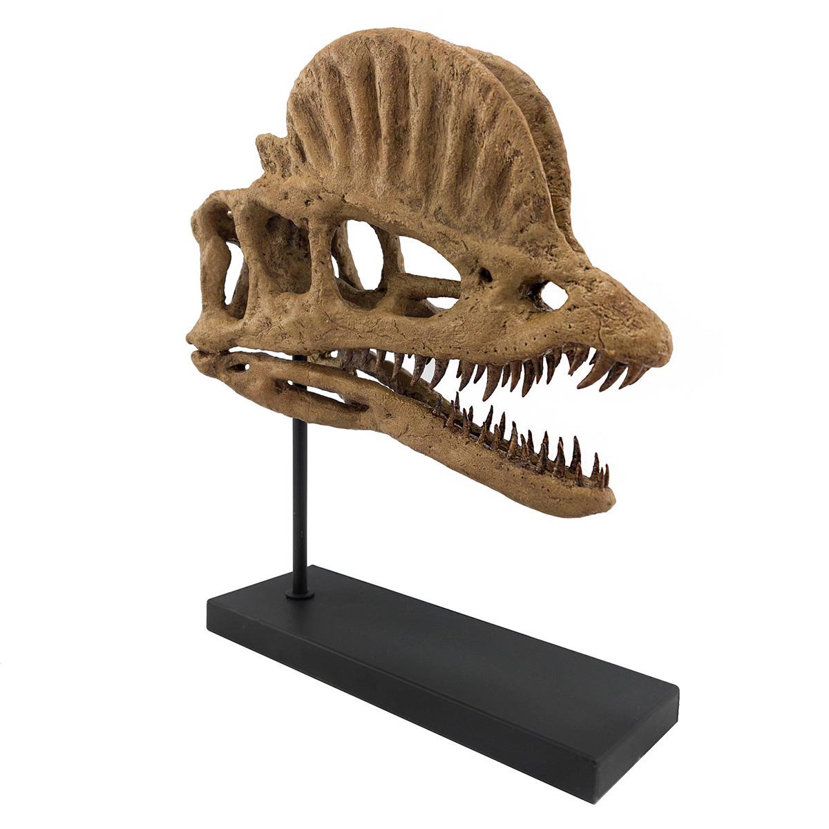 Dilophosaurus Seramik Heykel