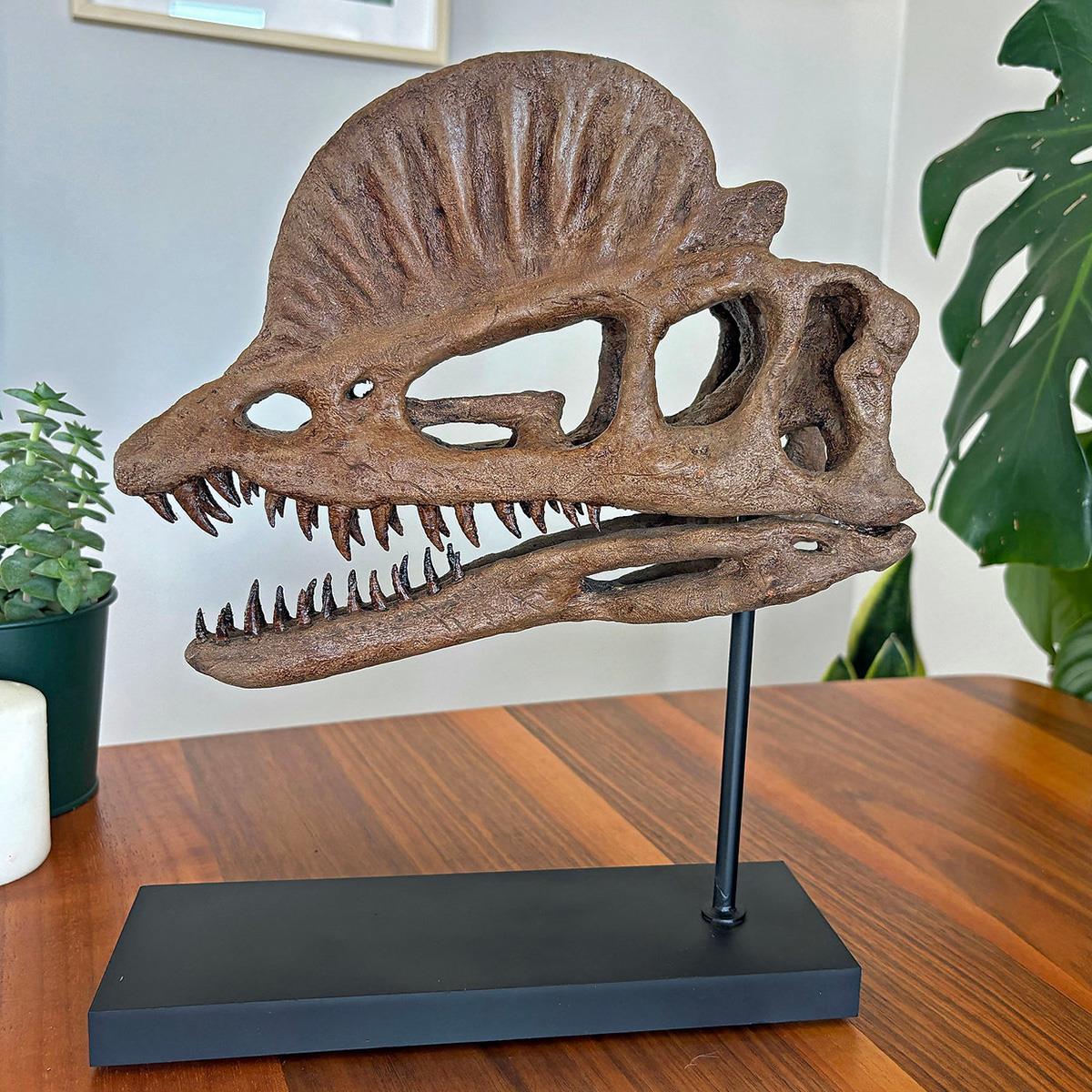 Dilophosaurus Seramik Heykel