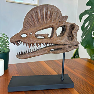 Dilophosaurus Seramik Heykel