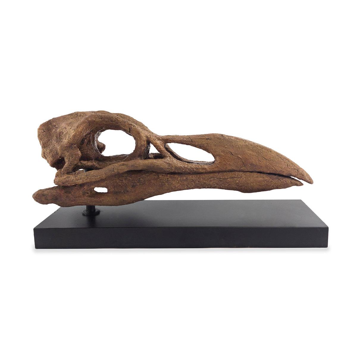 Great Auk Seramik Heykel