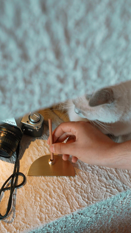 Pirinç Stick Tütsülük stick tütsü yerleştirme anı ve kedi