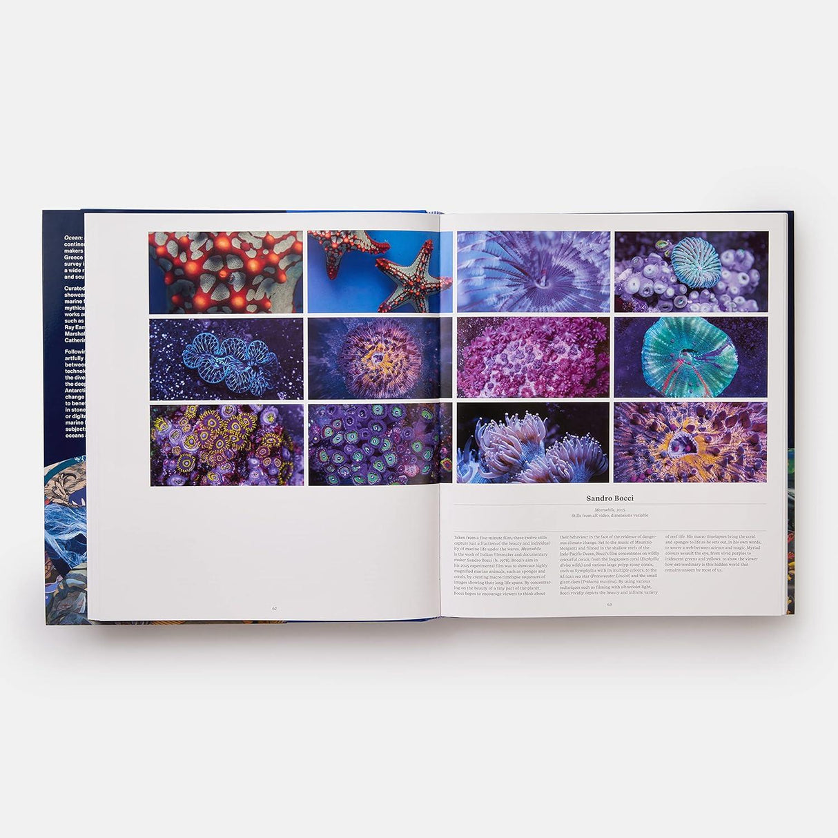 Ocean: Exploring The Marine World Book