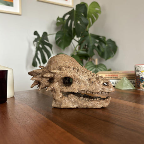 Pachycephalosaurus Mini Seramik Heykel