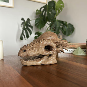 Pachycephalosaurus Mini Seramik Heykel