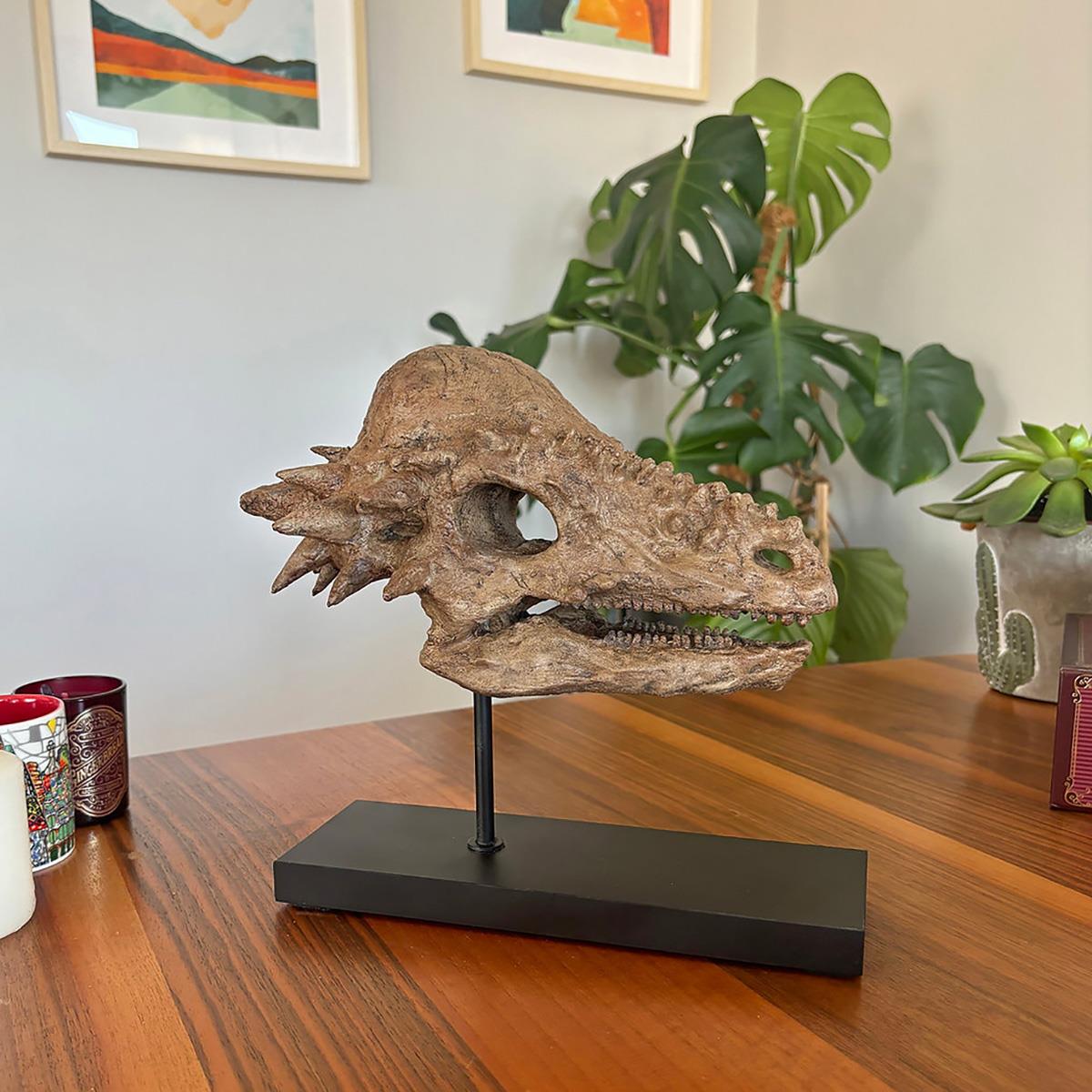 Pachycephalosaurus Seramik Heykel