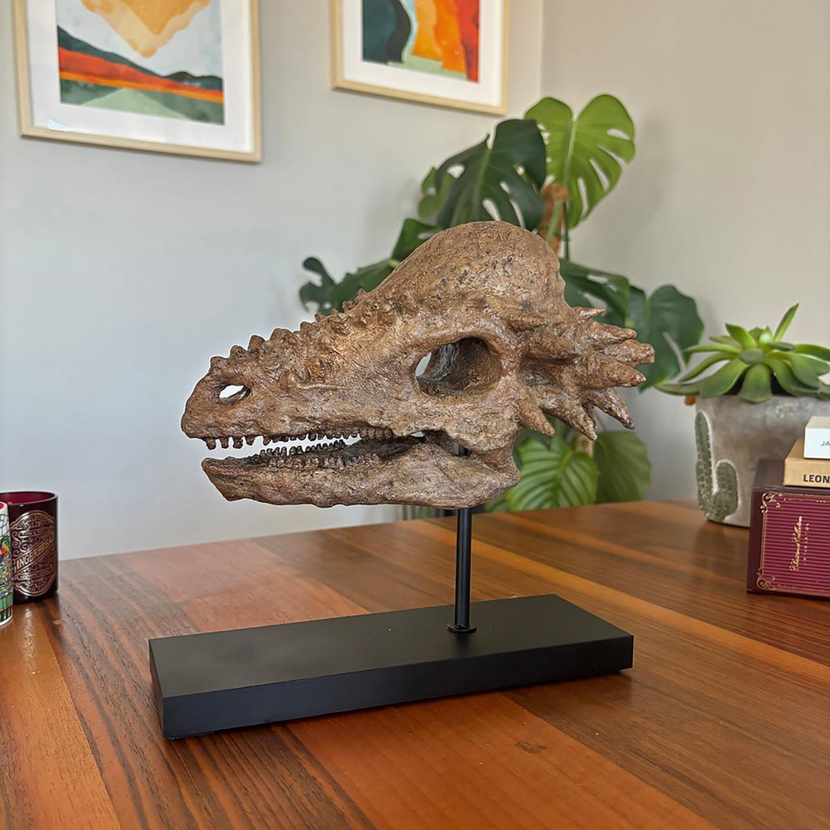 Pachycephalosaurus Seramik Heykel