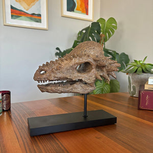 Pachycephalosaurus Seramik Heykel