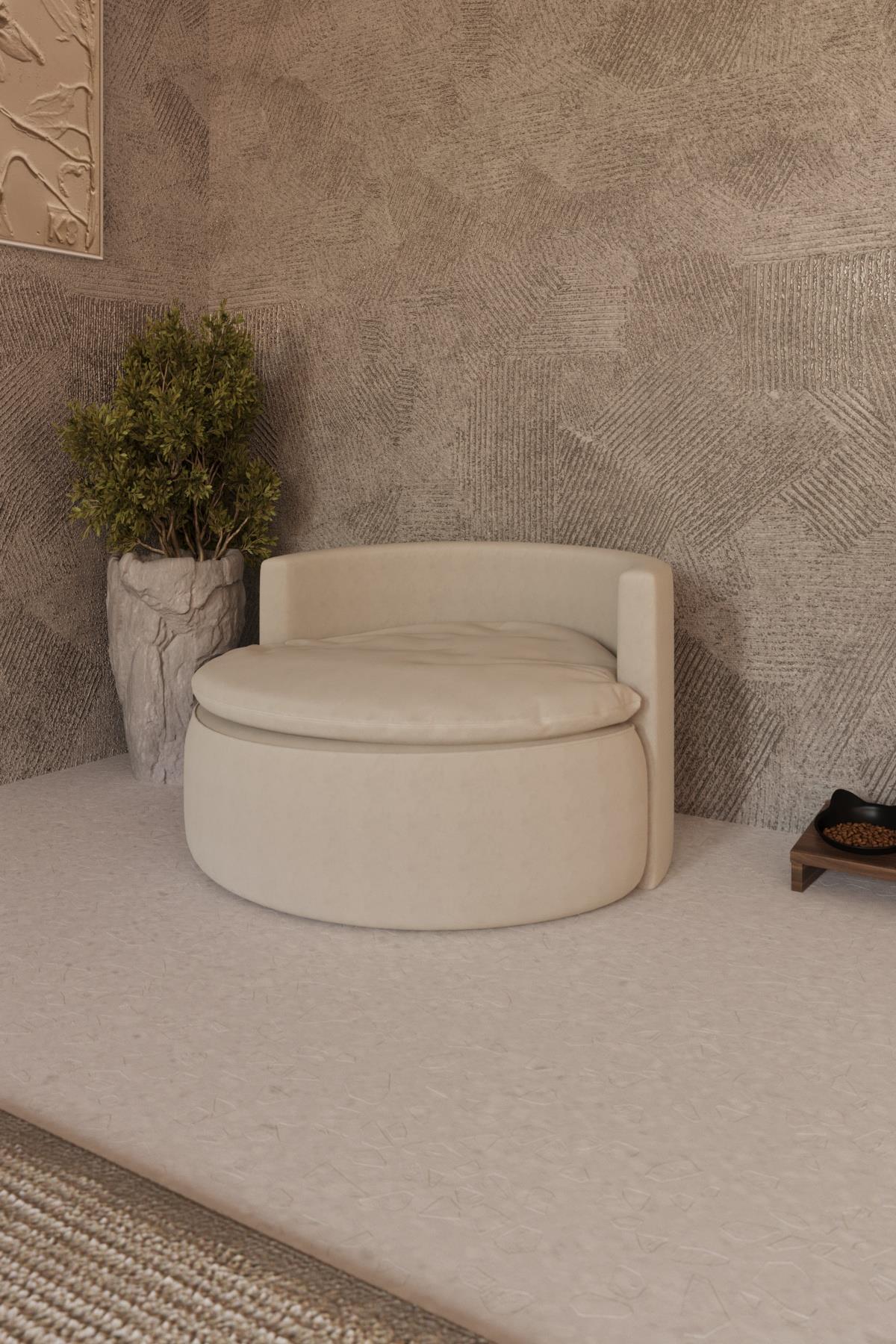 Pet Teddy Bergere