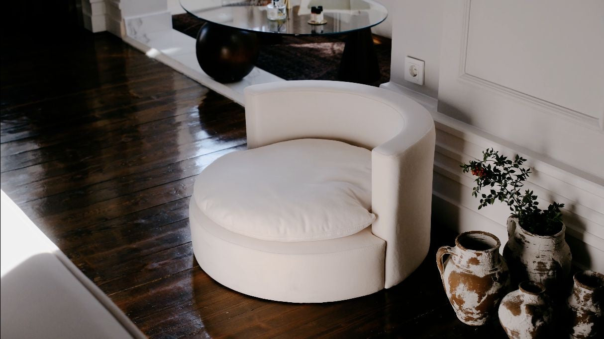 Pet Teddy Berjer, döşenmiş gerçek yaşam alanında geniş açı - Chappal