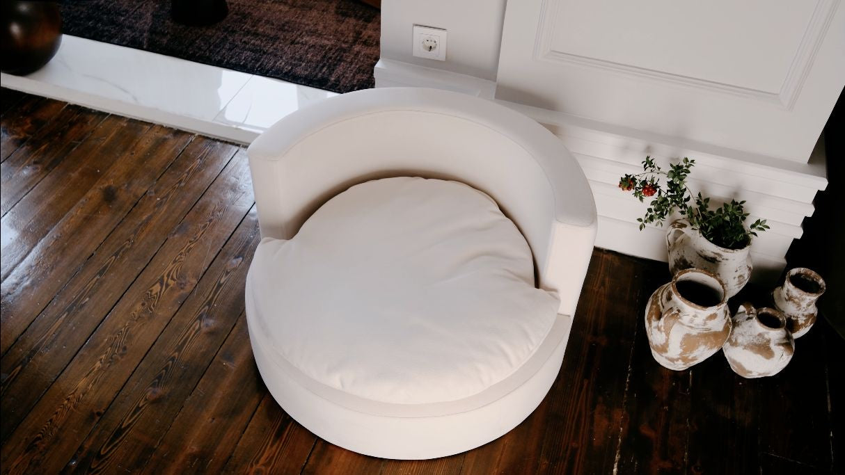 Pet Teddy Berjer, gerçek yaşam alanında üst açı görünümü - Chappal