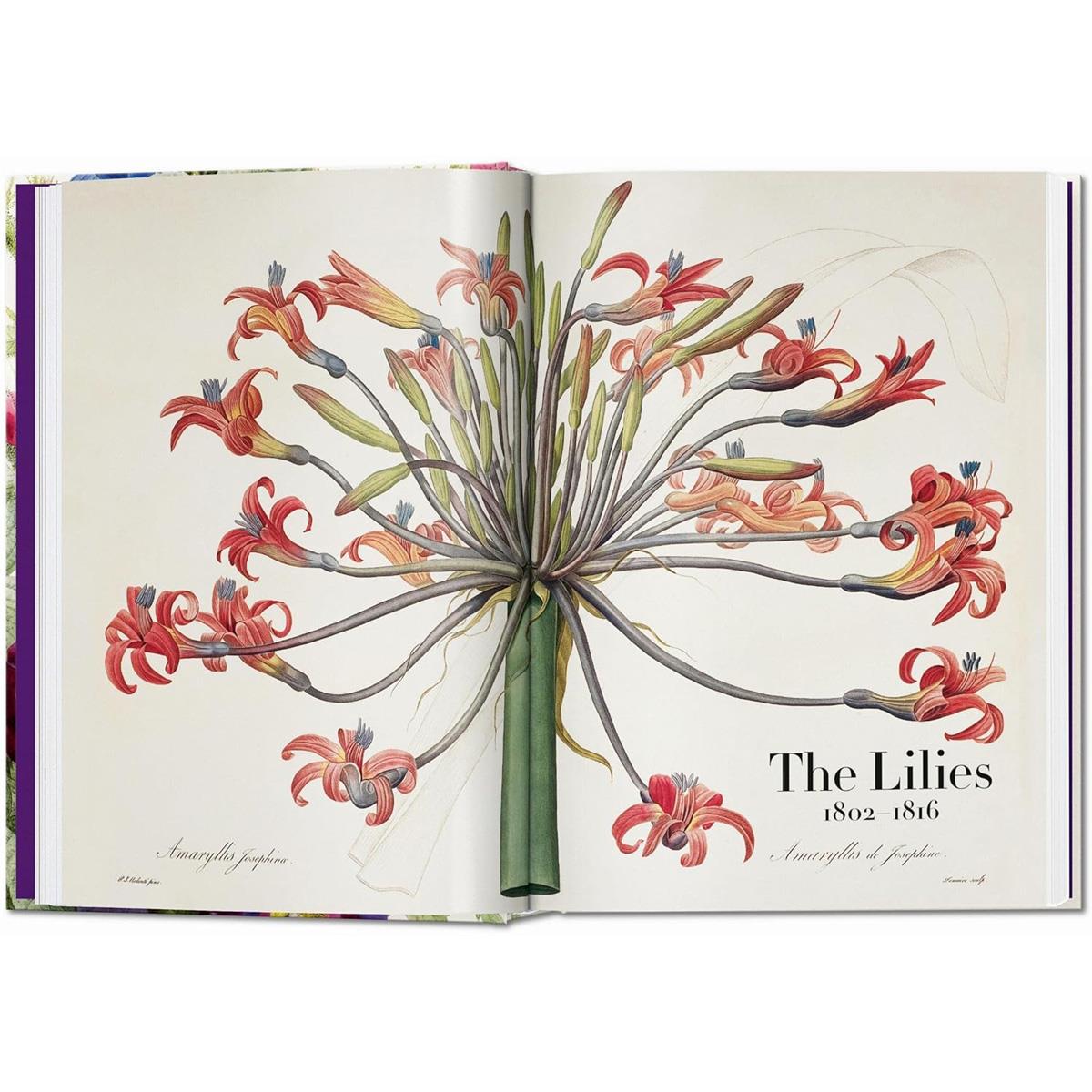 Redoute The Book of Flowers ikinci görsel - Chappal