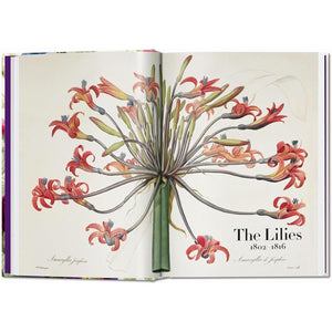 Redoute The Book of Flowers ikinci görsel - Chappal