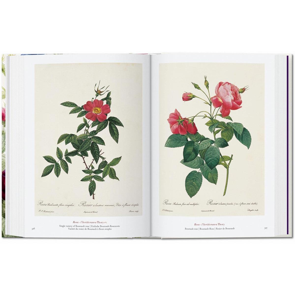 Redouté. The Book of Flowers. 40th Anniversary Edition