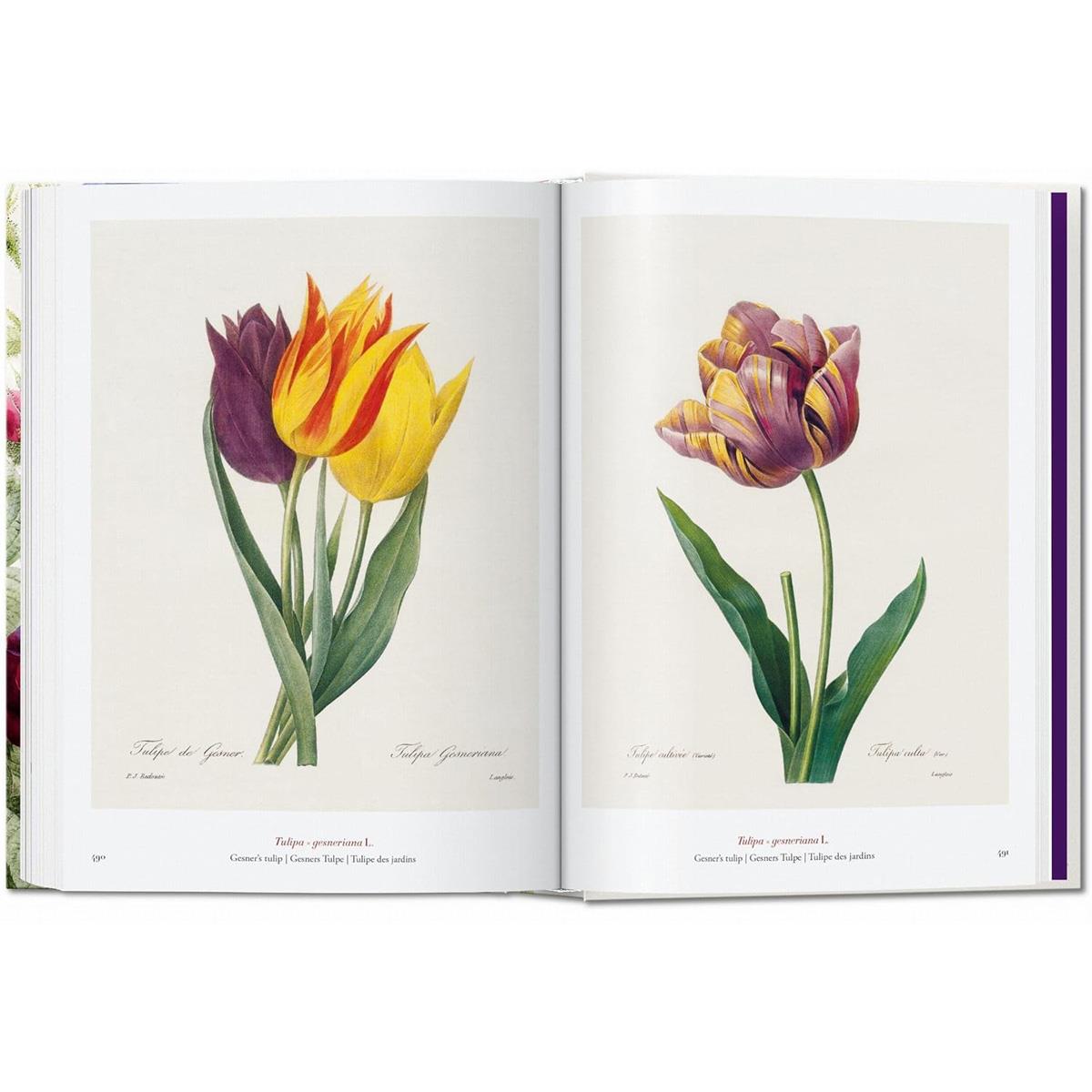 Redouté. The Book of Flowers. 40th Anniversary Edition