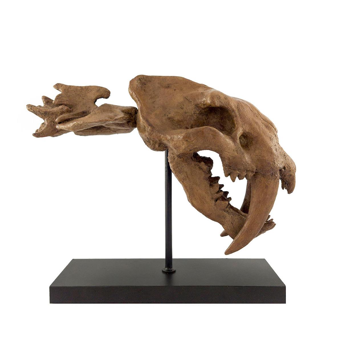 Sabertooth Seramik Heykel