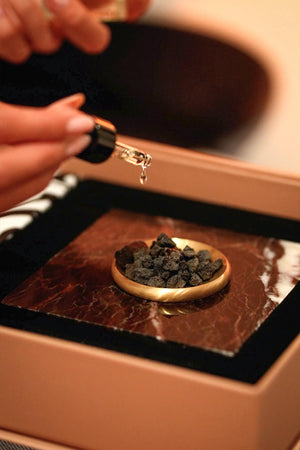 Scent Book Earth Bound