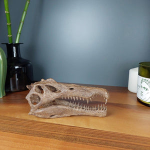 Spinosaurus Mini Seramik Heykel