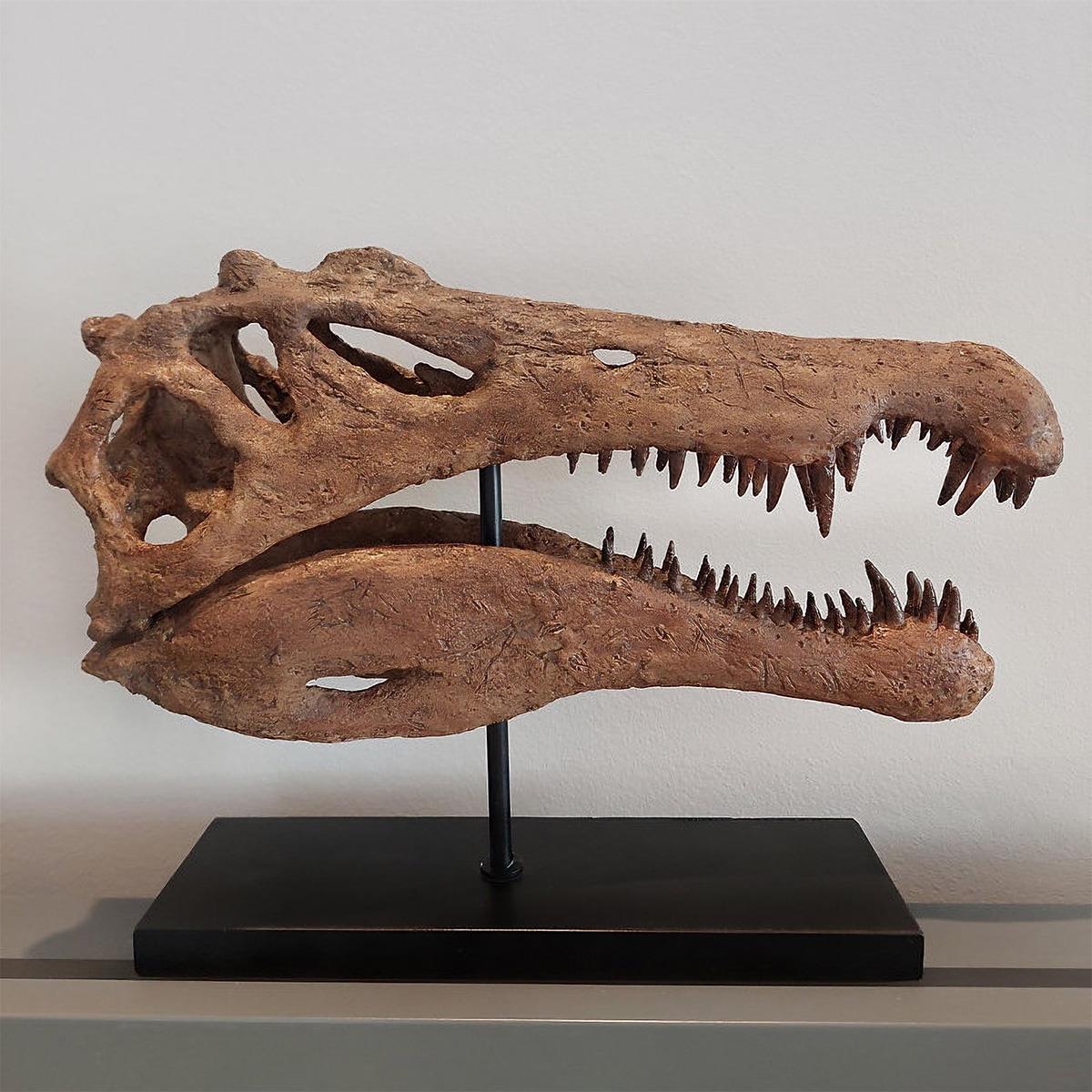 Spinosaurus Seramik Heykel