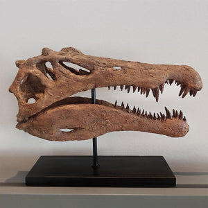 Spinosaurus Seramik Heykel