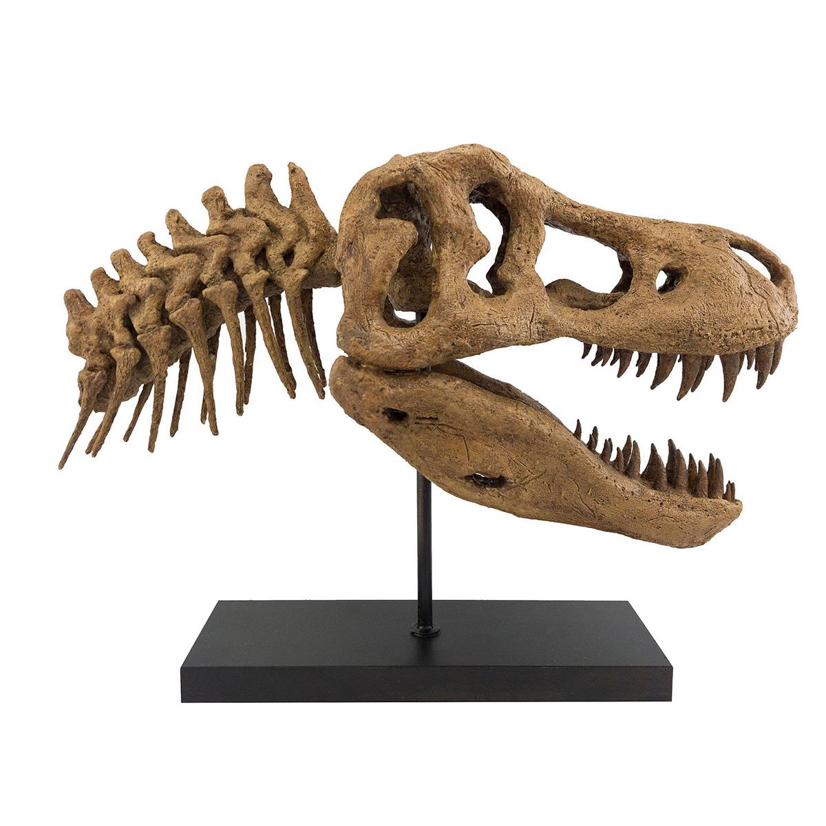 T-Rex (Omurgalı) Seramik Heykel