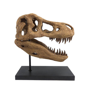 T-Rex Seramik Heykel