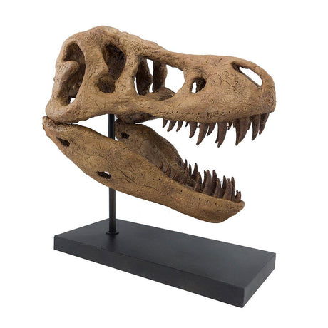 T-Rex Seramik Heykel