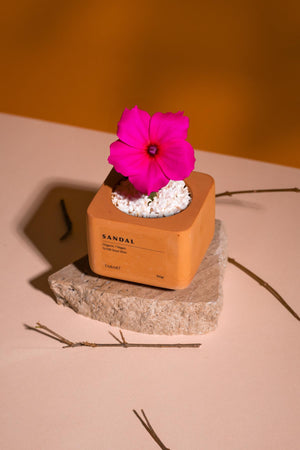 Soya Wax Organik Beton Mum Saksı ikinci görsel - Chappal