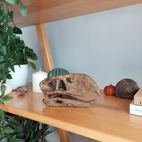 Titanis (Terror Bird) Mini Seramik Heykel