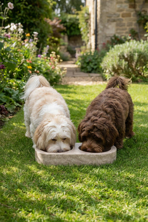 Traverten Mama Kabı