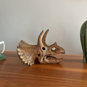 Triceratops Mini Seramik Heykel