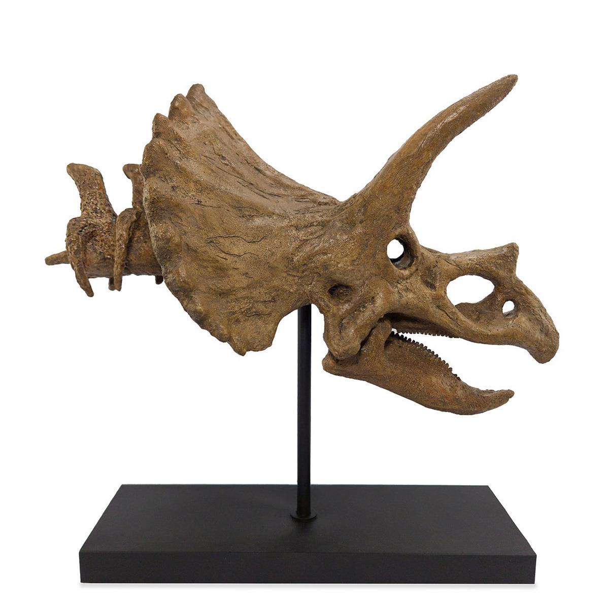 Triceratops (Omurgalı) Seramik Heykel