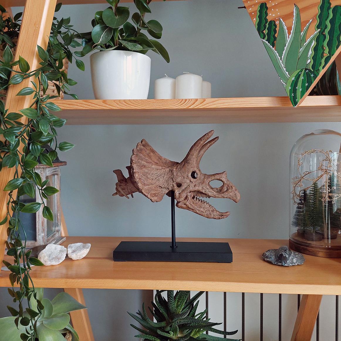 Triceratops (Omurgalı) Seramik Heykel