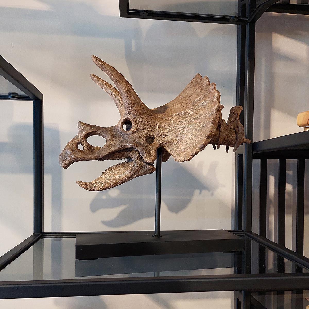Triceratops (Omurgalı) Seramik Heykel
